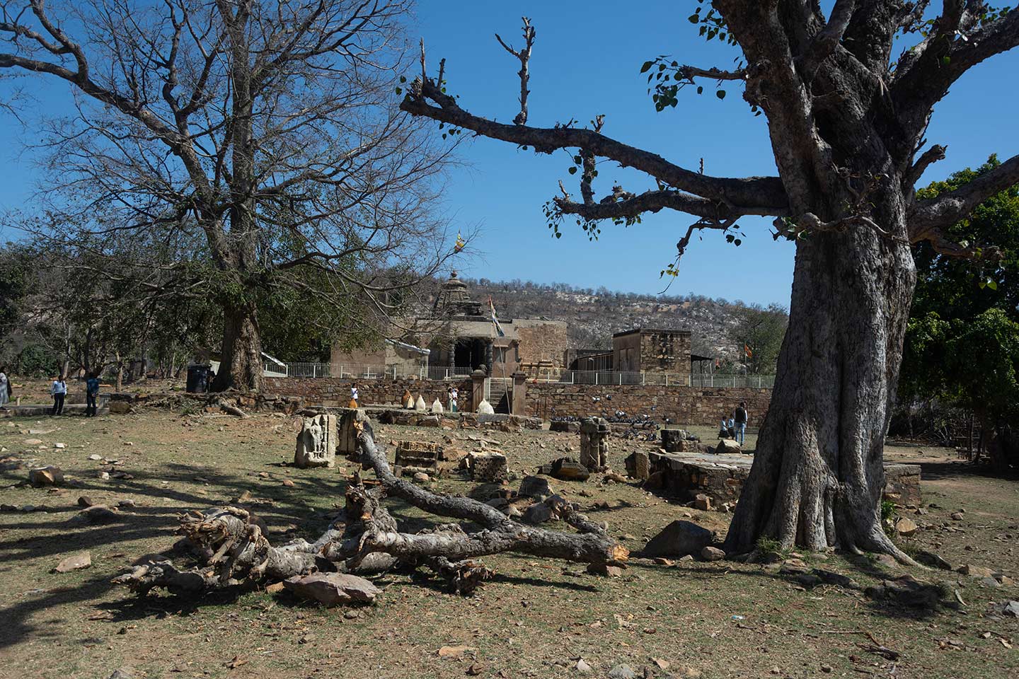 This is a distant view of the west-facing elevation of the Neelkanth Mahadev Temple. The Archaeological Survey of India (ASI) has installed a fencing boundary, encircling the tri-kuta (triple shrine) temple with trees and agricultural fields. There are scattered architectural elements in the foreground, likely belonging to the Neelkanth Temple or other temples in the group.