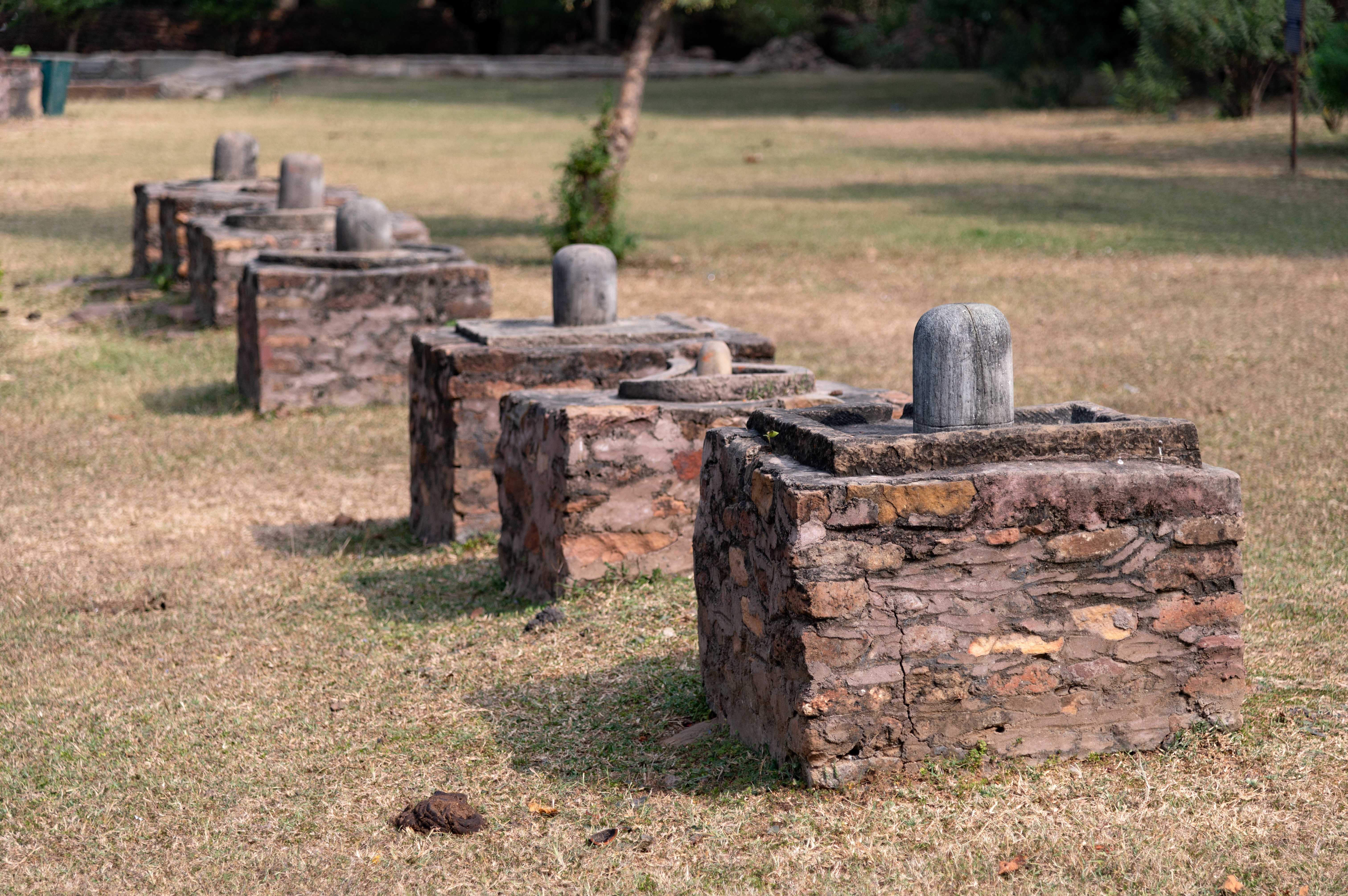 A row of Shiva lingas can be seen near the Ghateshwar Temple. There are seven Shiva lingas placed on plain pedestals. According to the temple priest, these Shiva lingas were set up by the families of the earlier priests after their deaths, and they are said to be their samadhis (memorial shrines).