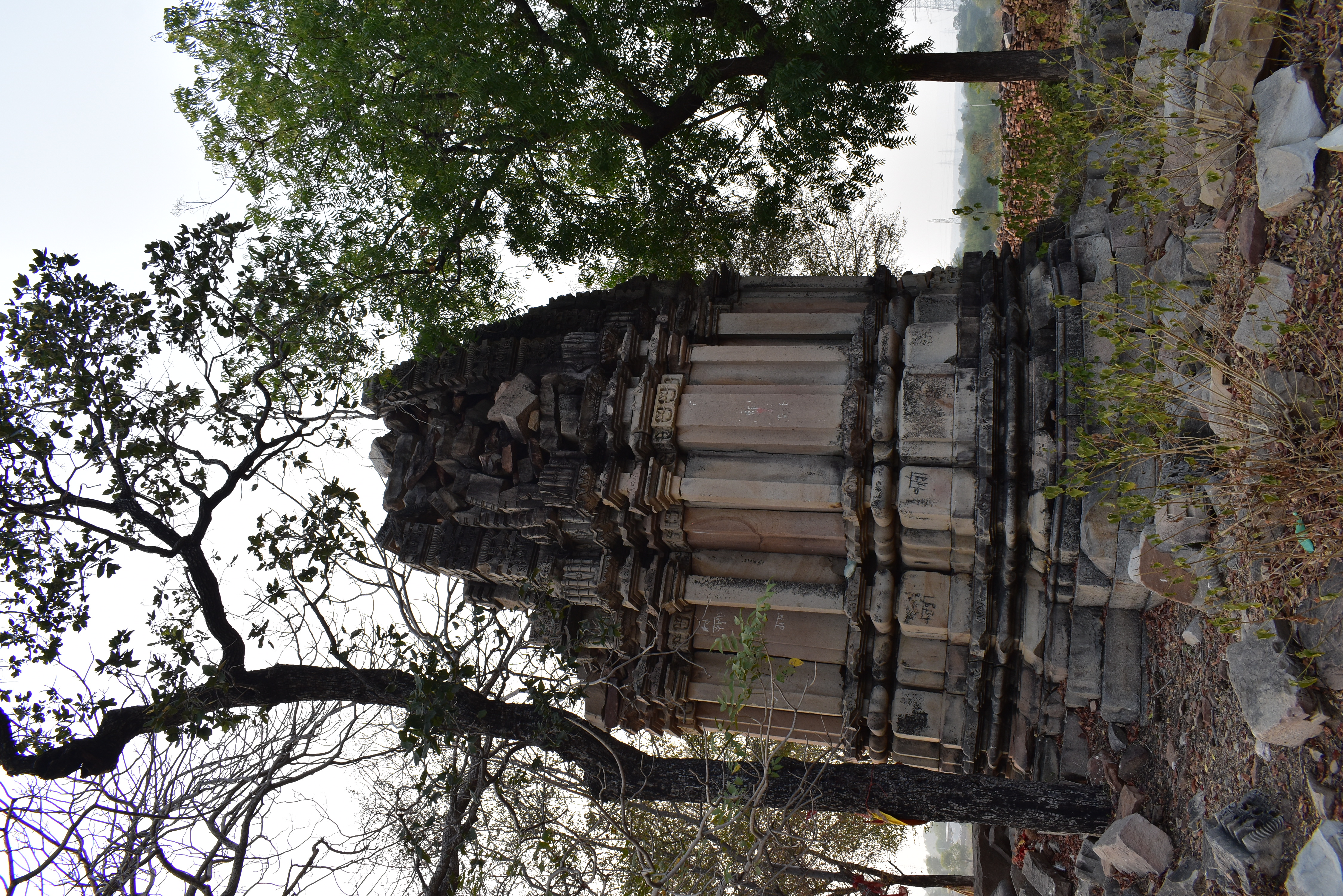 The temple features a well-defined pitha (a small platform) and vedibandha (basal mouldings). Its walls are plain, adorned with pilasters topped by the grassamukha (face of glory) band. The shikhara (superstructure) is severely damaged.