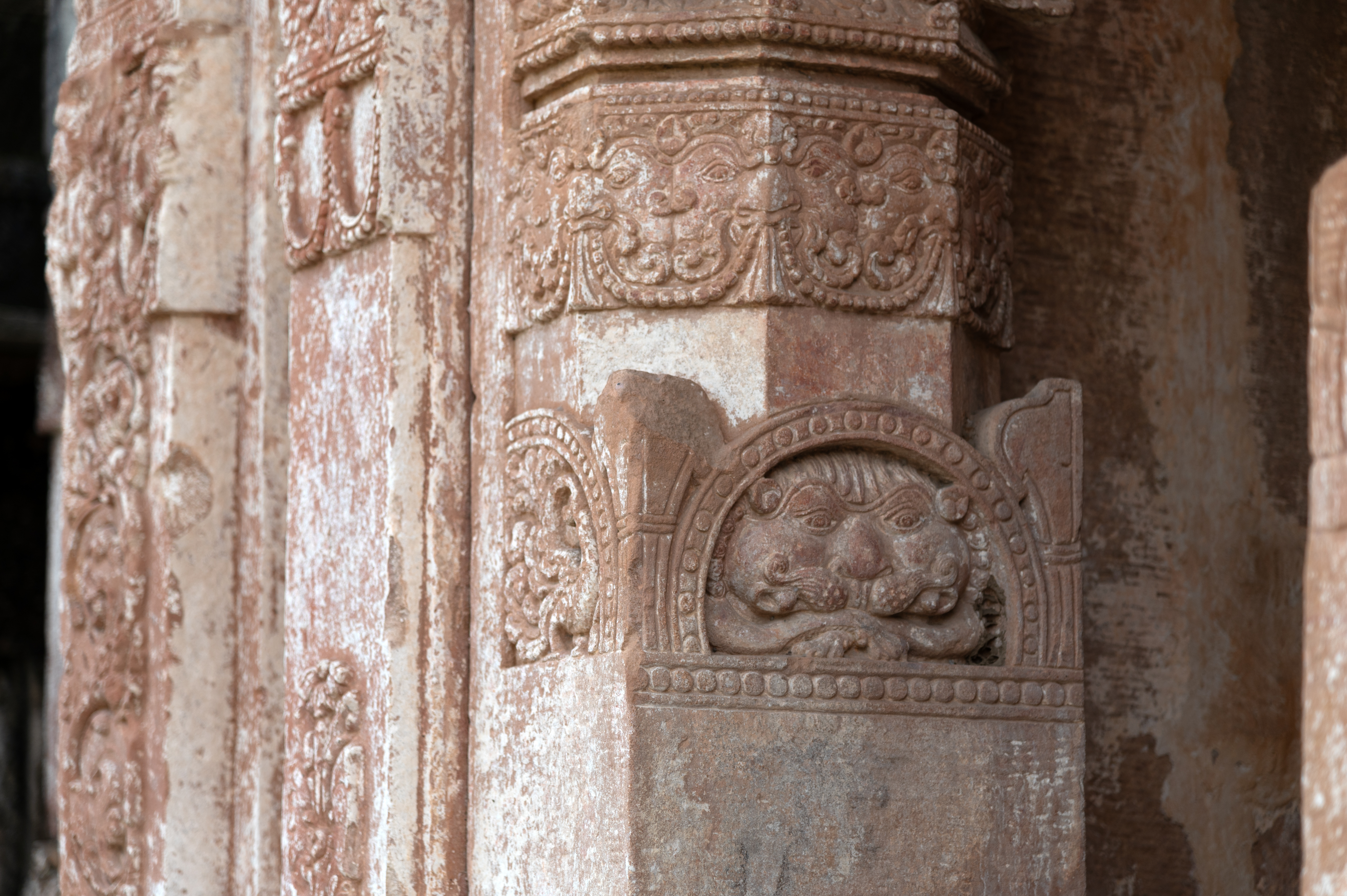 The portrayal of animals and birds on the pillars of the Sitaleshwar Temple is remarkable. The half-medallion decoration on one of the pillars captures the image of a tranquil and innocent lion, sitting and relaxing.
