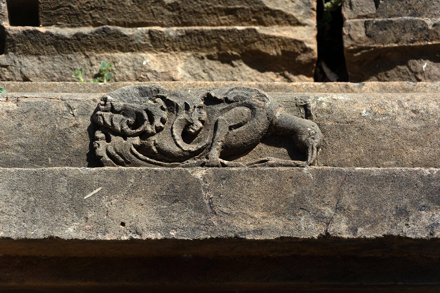 All around the adhisthana are relief carvings of geometric, flora, and fauna motifs. A relief carving of a peacock is shown here.